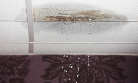 Plumber Ferntree Gully